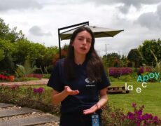 Descubre los mejores productos locales en Biar y apoya el turismo sostenible en tu próximo viaje