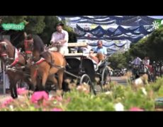Descubre la magia de la Feria de Agosto en Biar: un destino imperdible para tu próximo viaje de turismo