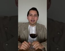 Descubre los mejores vinos locales de Biar en tu próximo viaje de turismo enológico